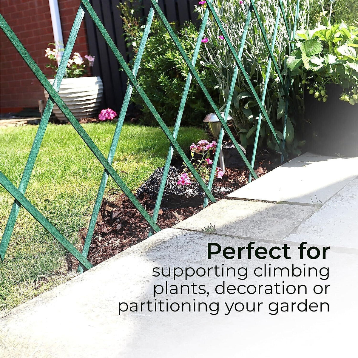 Wooden Trellis Pack of 3 Expandable Garden Wall for Climbing Plants