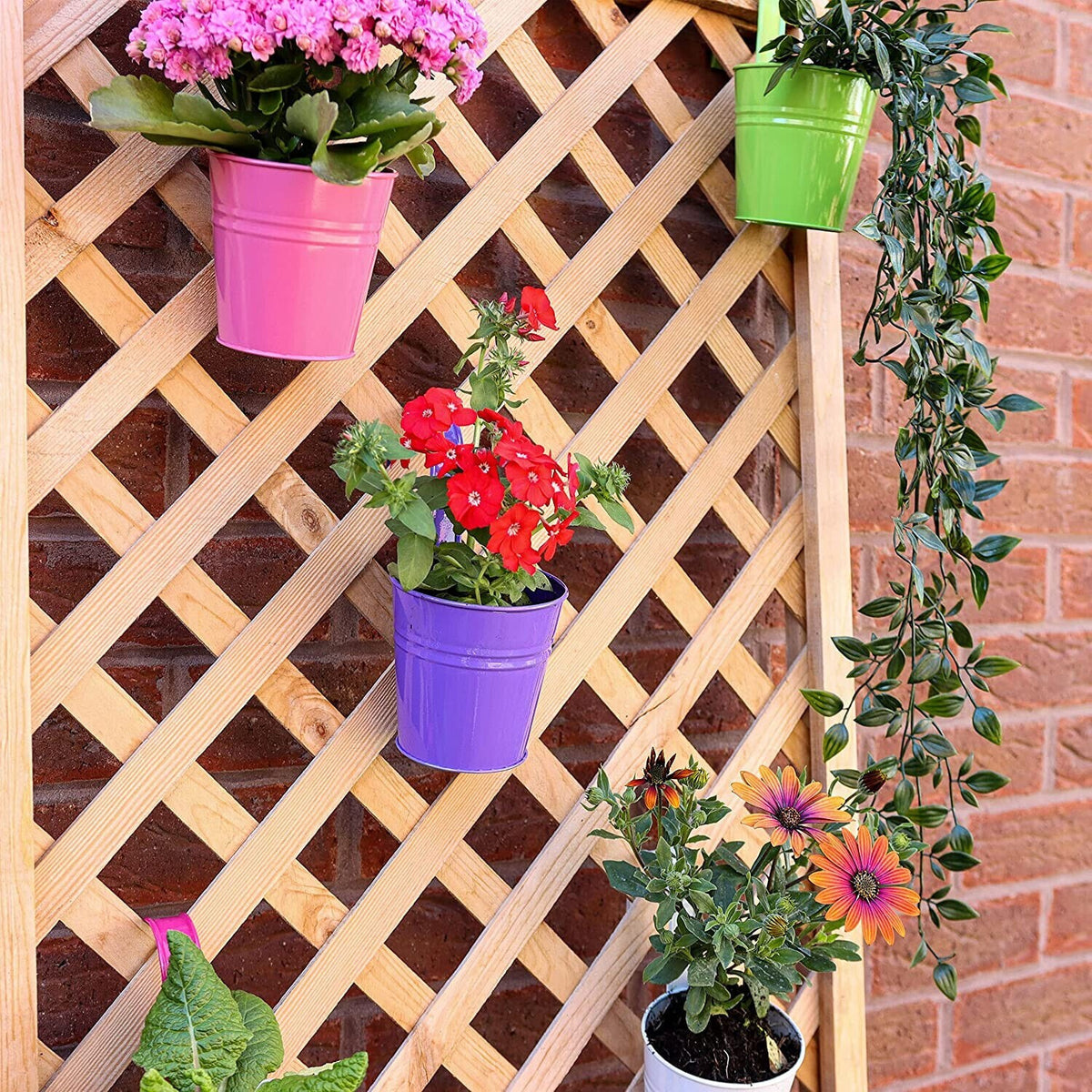 Hanging Metal Flower Pot 10 Pack Bucket Hanging Home Garden Plant and Home Decor