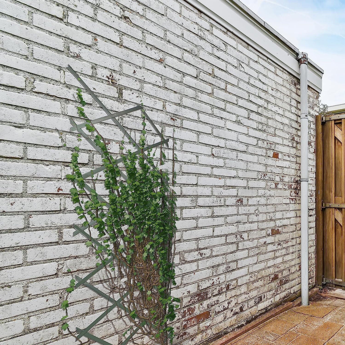 Wooden Trellis Pack of 3 Expandable Garden Wall for Climbing Plants
