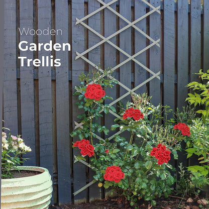 Wooden Trellis Pack of 3 Expandable Garden Wall for Climbing Plants